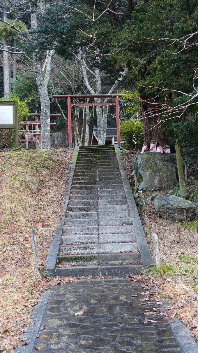 天社土御門神道　天社宮鳥居No2