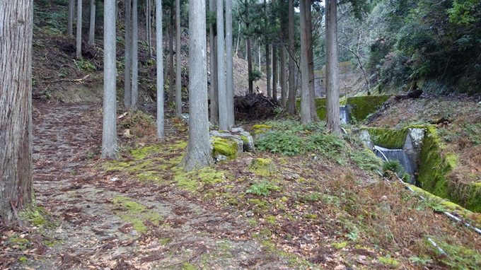 天社土御門神道　土御門家墓所No1