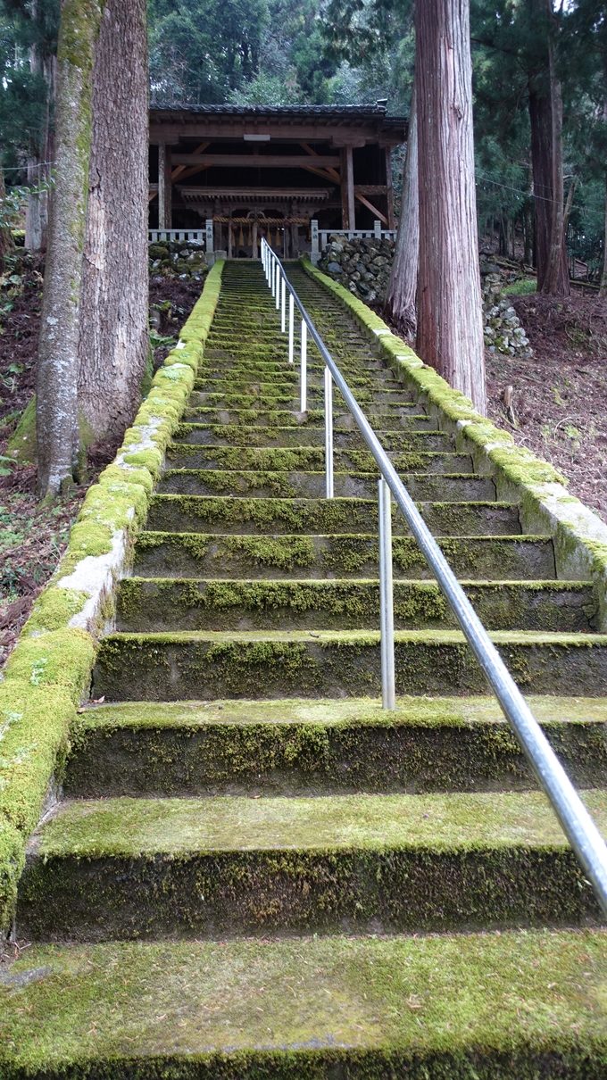 天社土御門神道　加茂神社No1