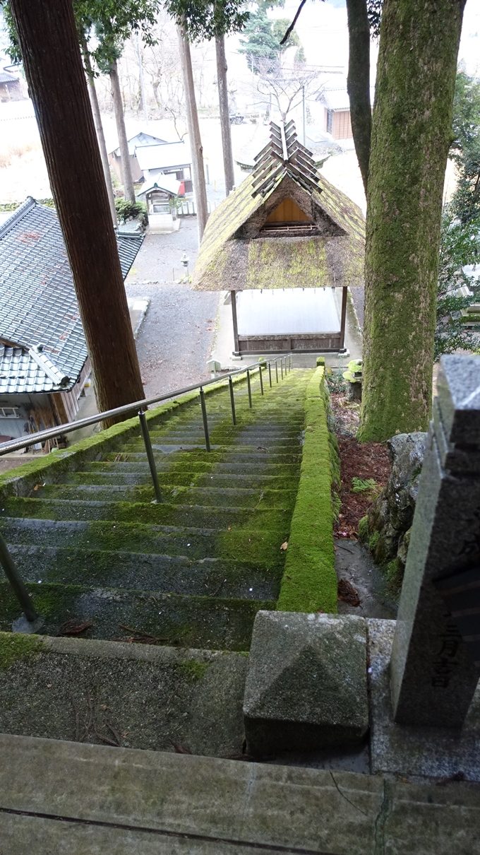 天社土御門神道　加茂神社No3