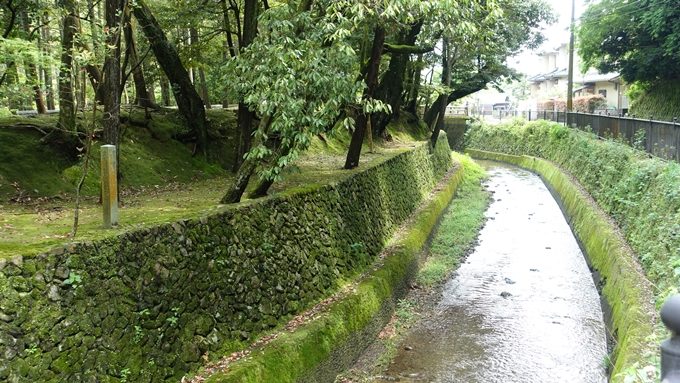 山の神さん　西芳寺川No1