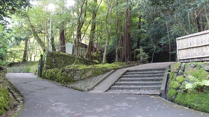 法然院　参道No2