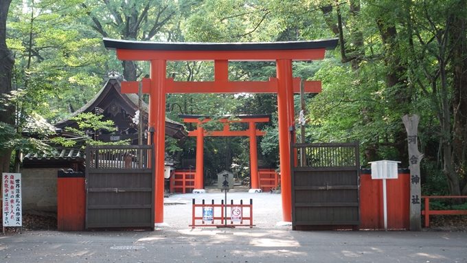 河合神社　鳥居