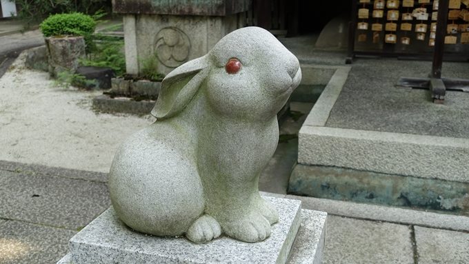 岡崎神社　狛うさぎNo1