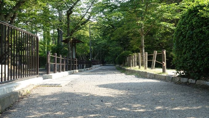 大豊神社　哲学の道