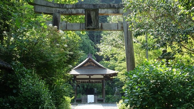 大豊神社　鳥居