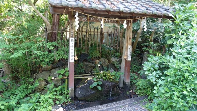 大豊神社　手水舎