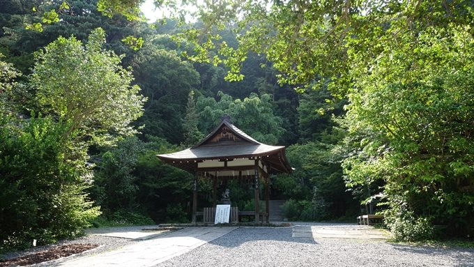 大豊神社　拝殿