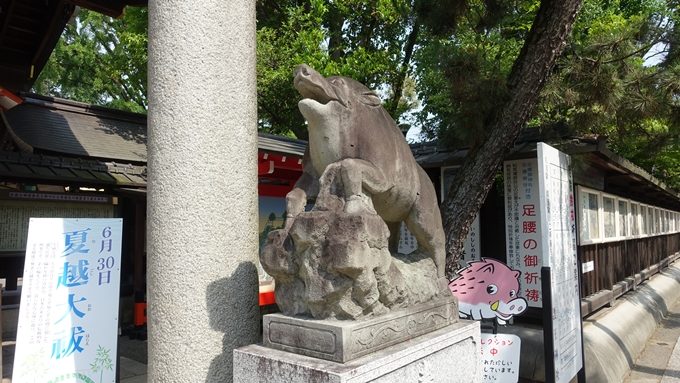 護王神社　狛猪No2