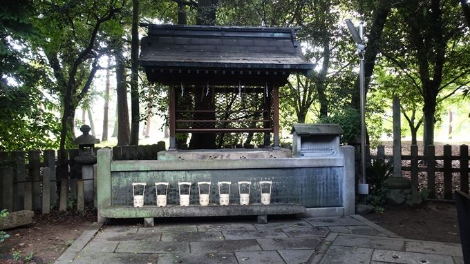 白雲神社　手水鉢