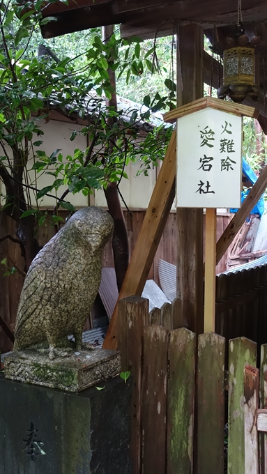 大豊神社　狛鳶