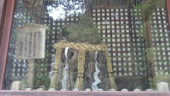 八大神社　初代一乗寺下り松