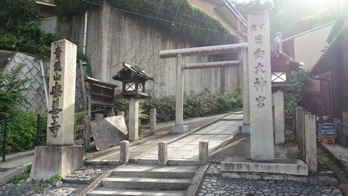 日向大神宮　鳥居