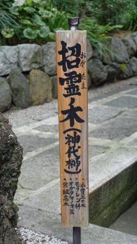 大将軍八神社　御神木札