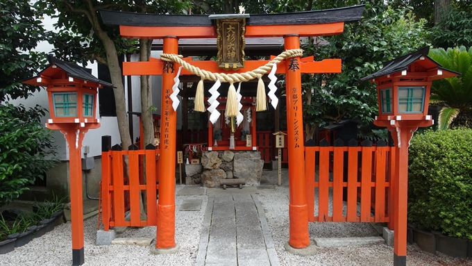 大将軍八神社　大杉大明神