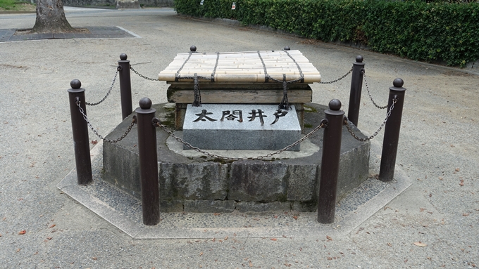 太閤井戸　No2