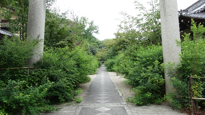 梨木神社　参詣道