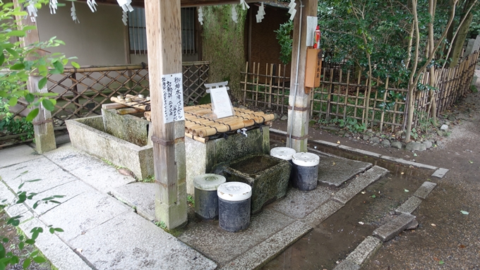 梨木神社　染井No４