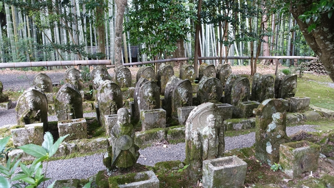 赤山禅院　三十三観音