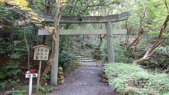 赤山禅院　No11