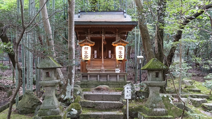 赤山禅院　相生宮