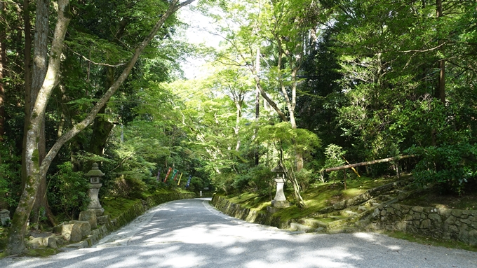 赤山禅院　参詣道