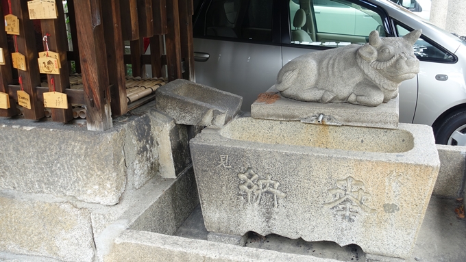 菅大臣神社　手水鉢