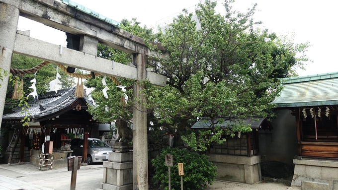 菅大臣神社　境内No1