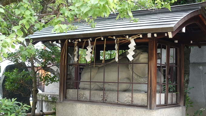 菅大臣神社　境内No2