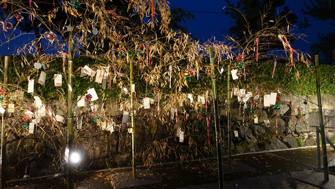 京の七夕　堀川会場No5