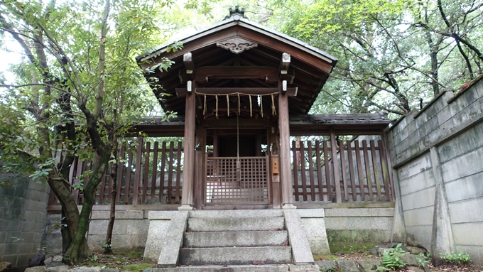 今宮神社　月読神社No2