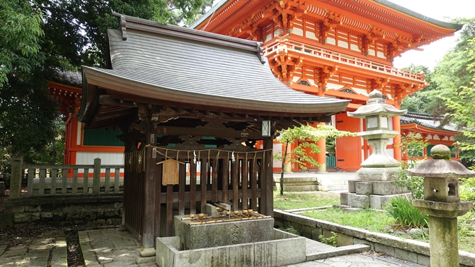 今宮神社　手水舎