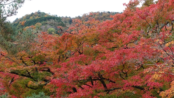 嵐山公園・角倉了以像　No16