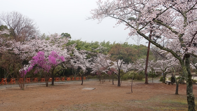 嵐山公園・角倉了以像　No14