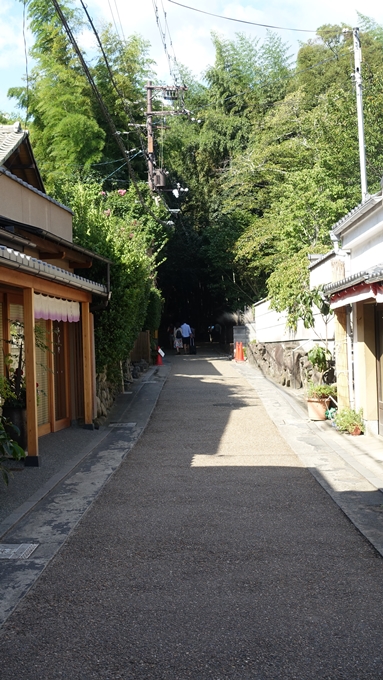 野宮神社　竹林の小径No1