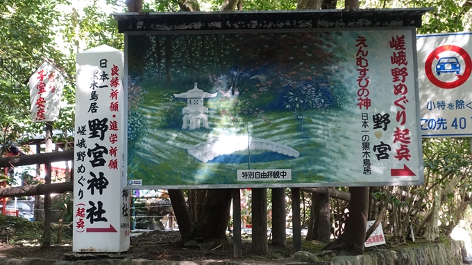 野宮神社　竹林の小径No3