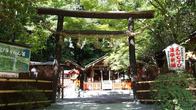 野宮神社　黒木鳥居No1