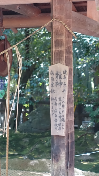 野宮神社　龍神の井