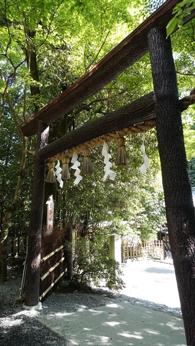 野宮神社　黒木鳥居No2