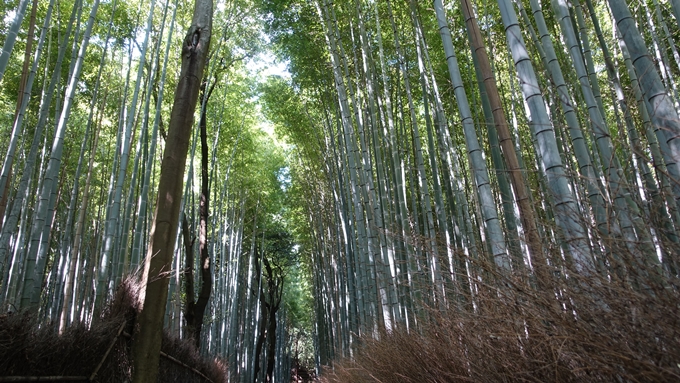 御髪神社　No2