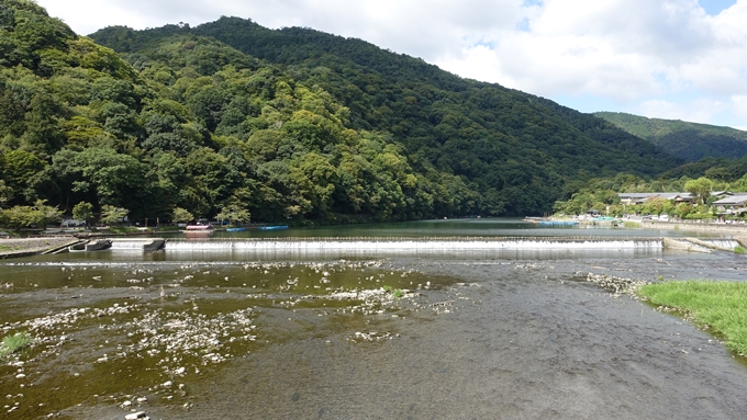 嵐山公園・渡月橋・大堰神社　No10