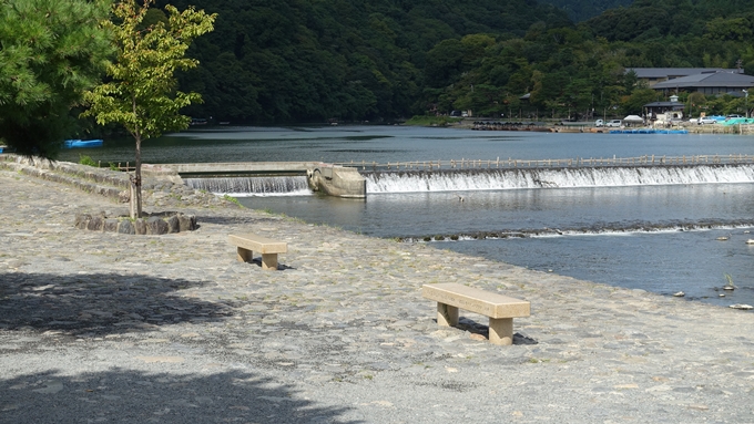 嵐山公園・渡月橋・大堰神社　No4