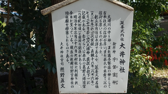 嵐山公園・渡月橋・大堰神社　No17