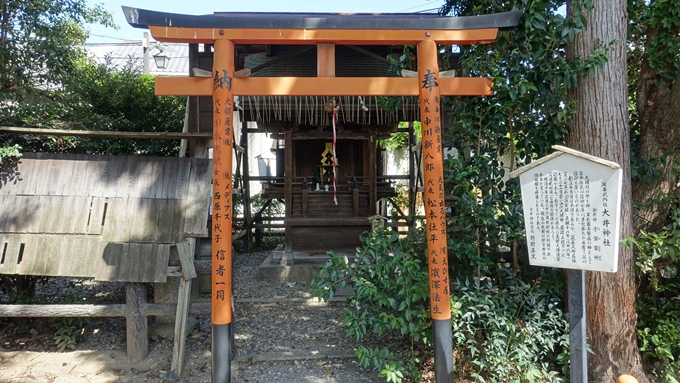 嵐山公園・渡月橋・大堰神社　No16