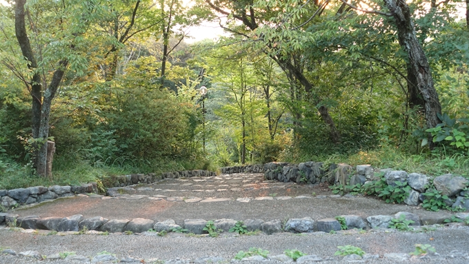 吉田山公園　No3