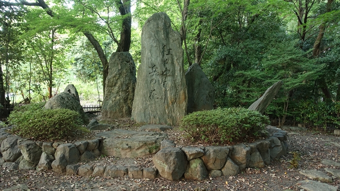 吉田山公園　No6