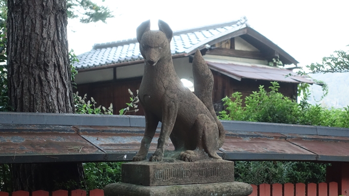 竹中稲荷神社　きつねNo2