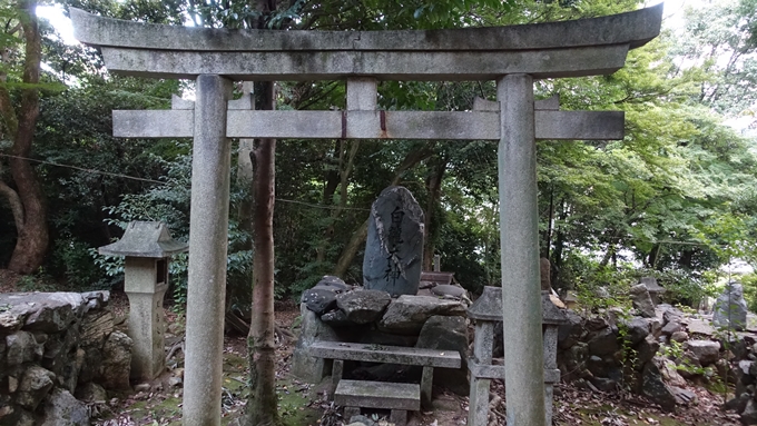 竹中稲荷神社　白龍大神No1