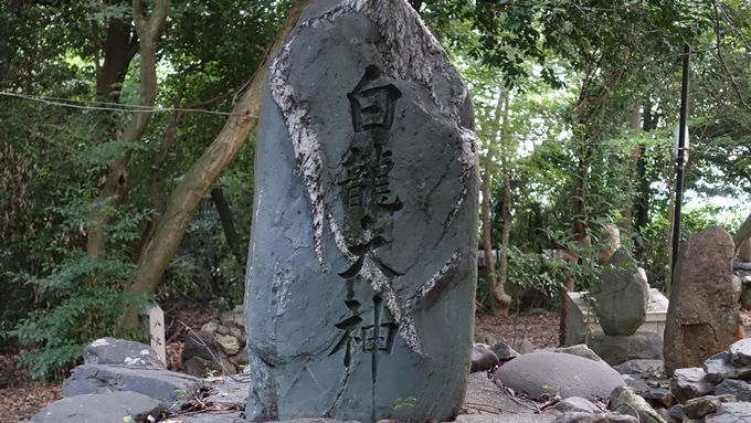 竹中稲荷神社　白龍大神No2