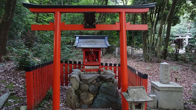 竹中稲荷神社　薬力大明神No2